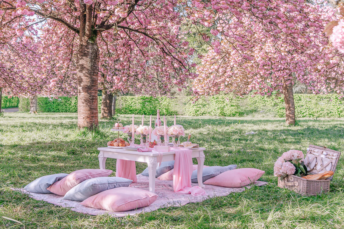 Paris picnic rental cherry blossoms Parc de Sceaux