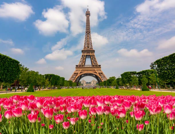 View of the Eiffel Tower from Champs de Mars in Paris, surrounded by lush greenery and a serene atmosphere.